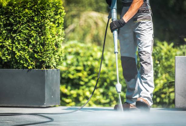 Best House Exterior Washing  in Mustang Ridge, TX